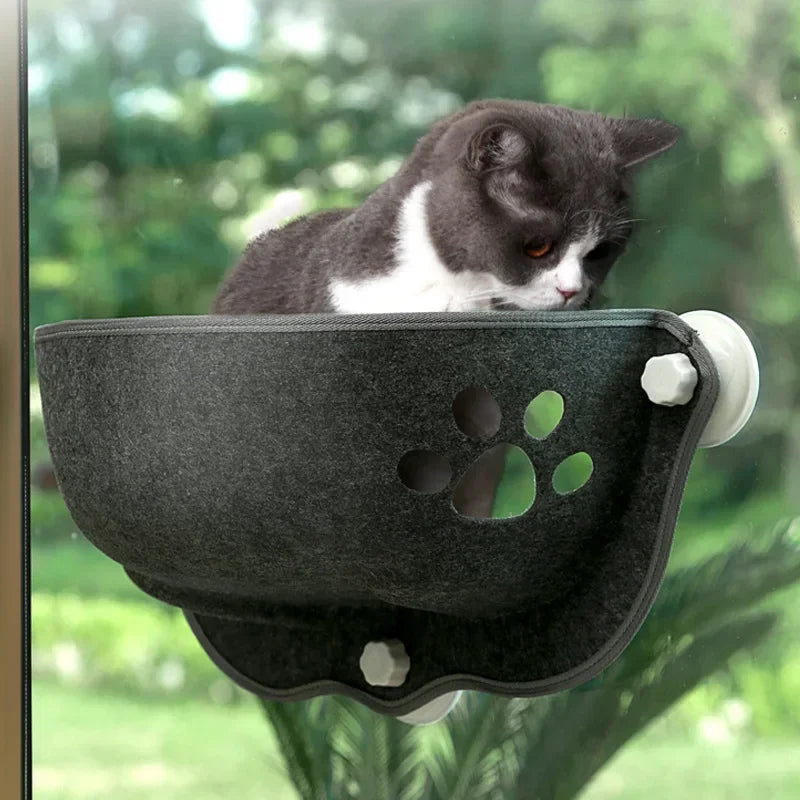 Cat Window Hammock with Cushion