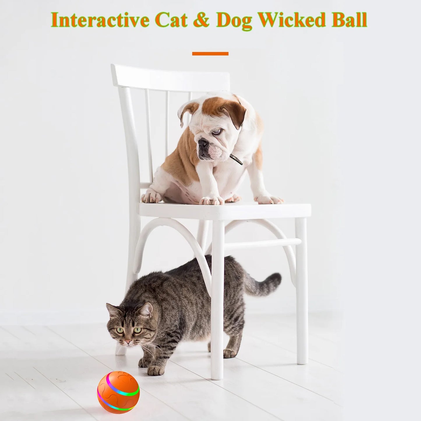 Smart Interactive Dog Wicked Ball Toy Light up LED