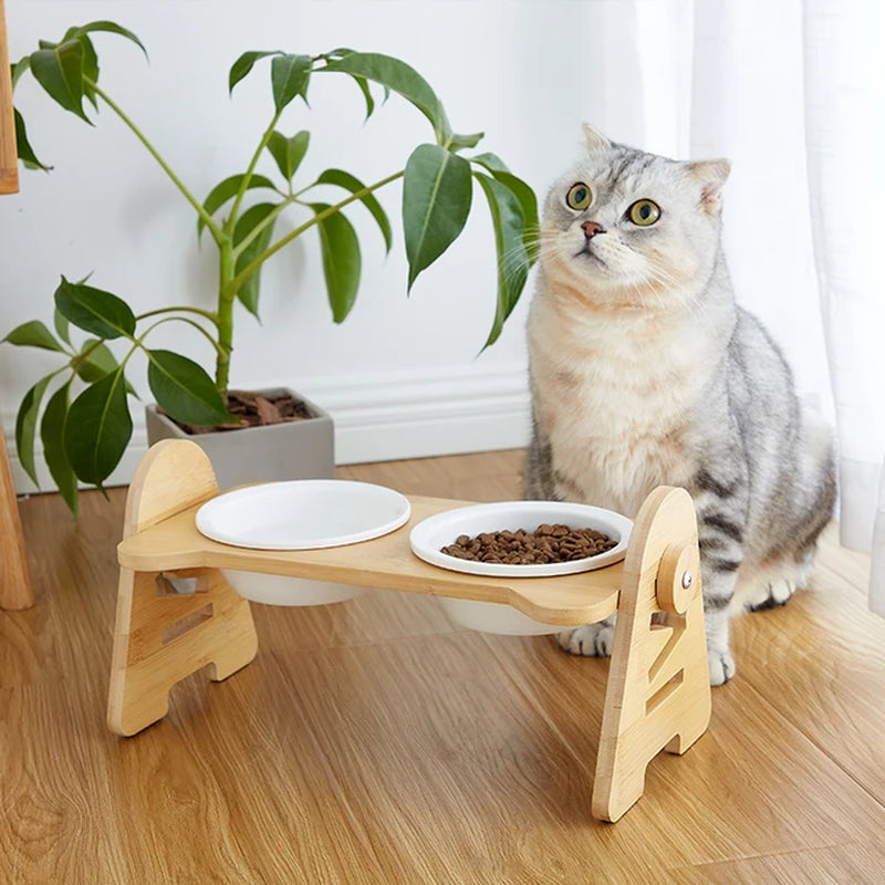 Cat Food Bowl 