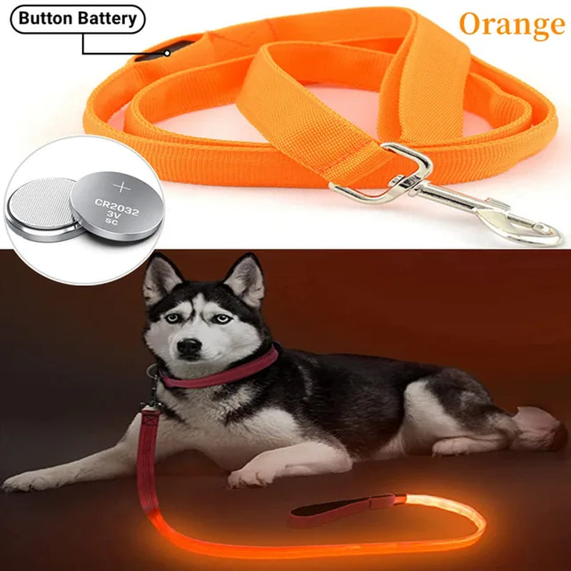 Led Pet Dog Leash Rope with Light Luminous Lead Leash USB Charging for Dog Safety Flashing Glowing Collar Harness Accessories