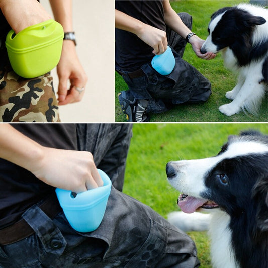 Pet Portable Dog for Training 