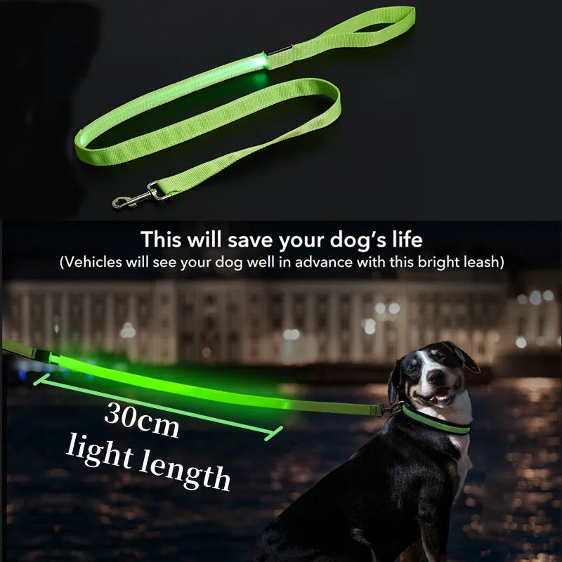 Led Pet Dog Leash Rope with Light Luminous Lead Leash USB Charging for Dog Safety Flashing Glowing Collar Harness Accessories