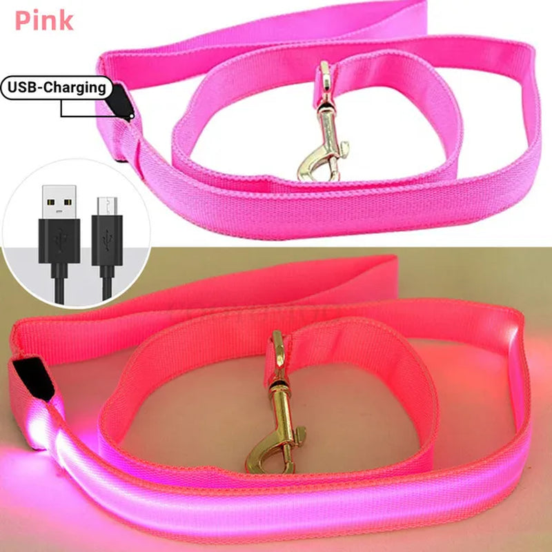 Led Pet Dog Leash Rope with Light Luminous Lead Leash USB Charging for Dog Safety Flashing Glowing Collar Harness Accessories