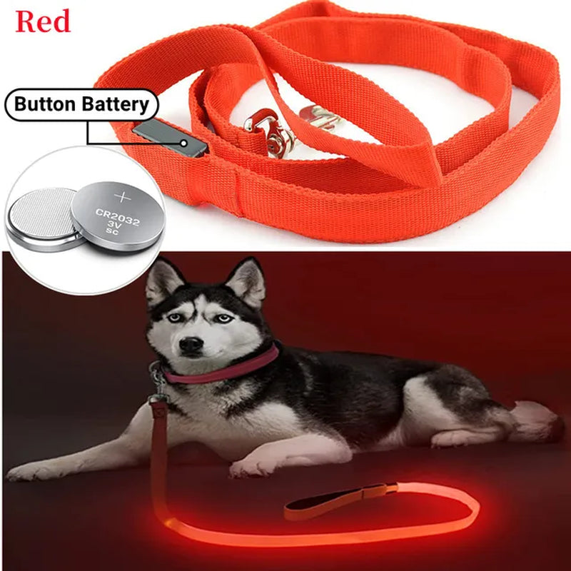 Led Pet Dog Leash Rope with Light Luminous Lead Leash USB Charging for Dog Safety Flashing Glowing Collar Harness Accessories