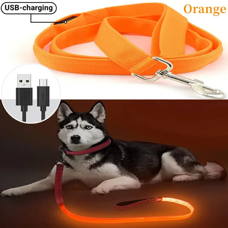 Led Pet Dog Leash Rope with Light Luminous Lead Leash USB Charging for Dog Safety Flashing Glowing Collar Harness Accessories