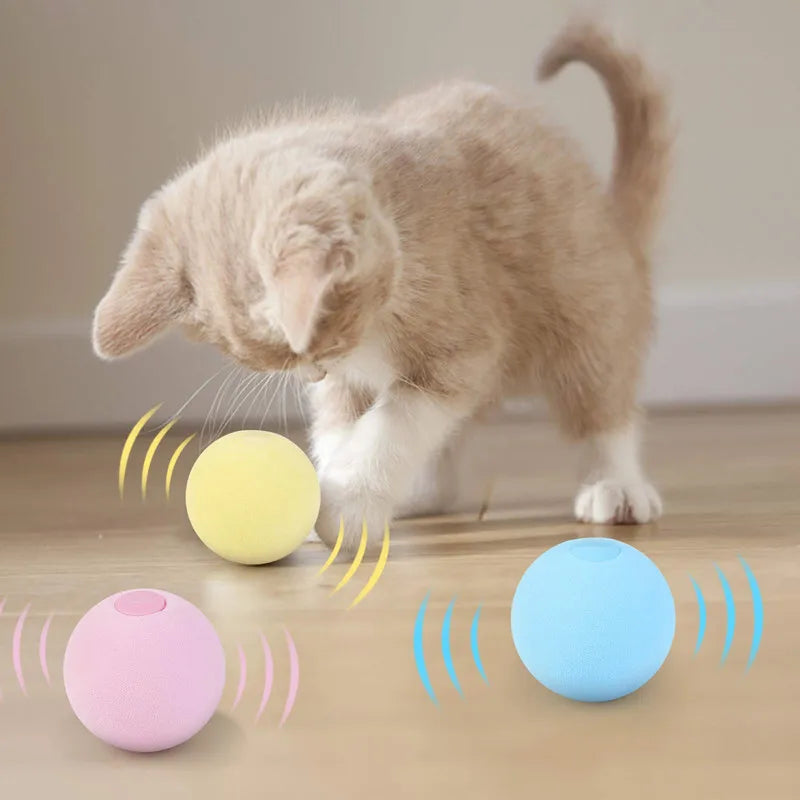 Cat Training Squeaky Ball - Interactive Ball 