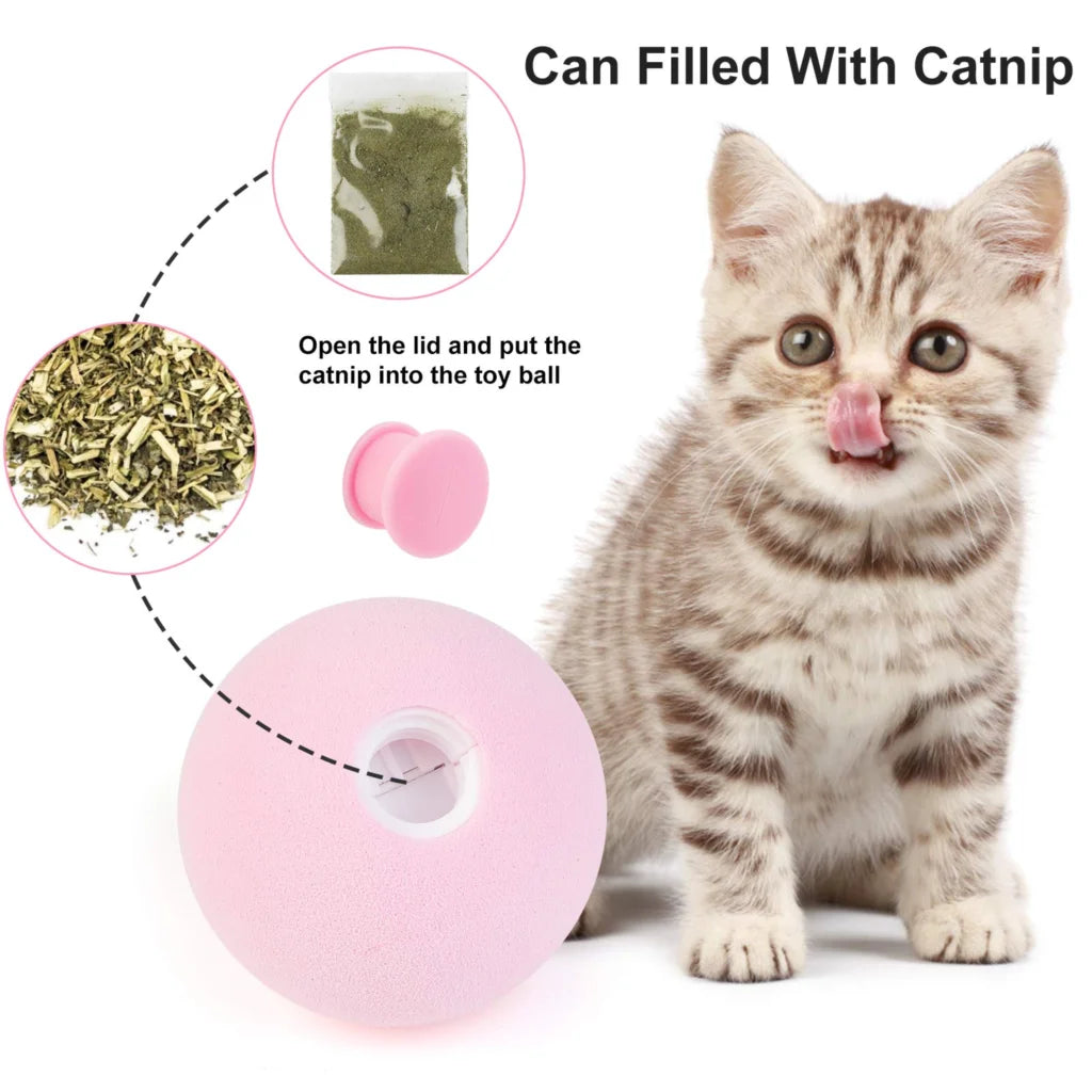 Cat Training Squeaky Ball - Interactive Ball 