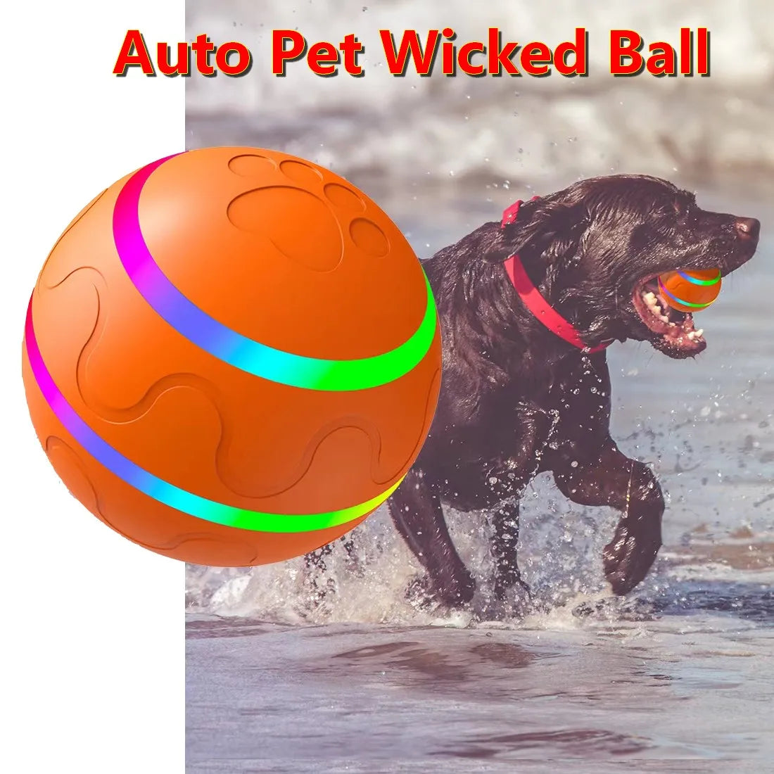 Smart Interactive Dog Wicked Ball Toy Light up LED