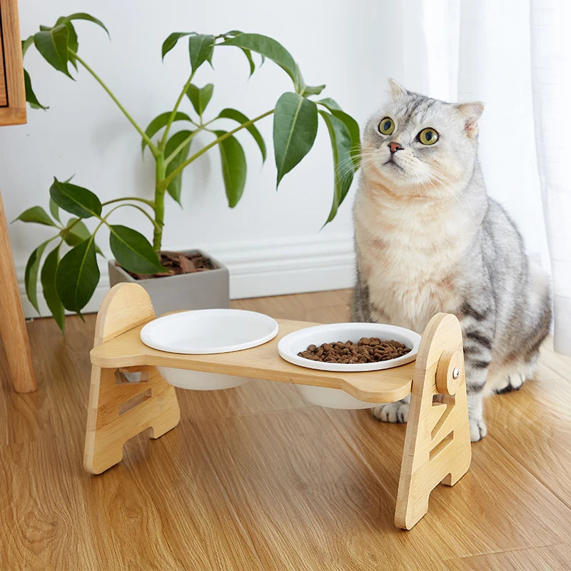 Cat Food Bowl 