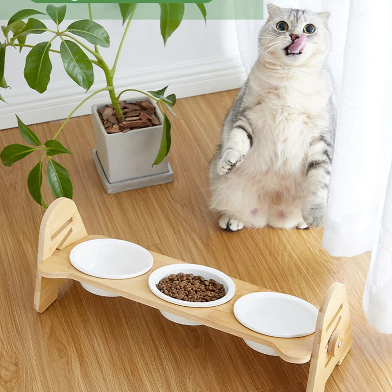 Cat Food Bowl 